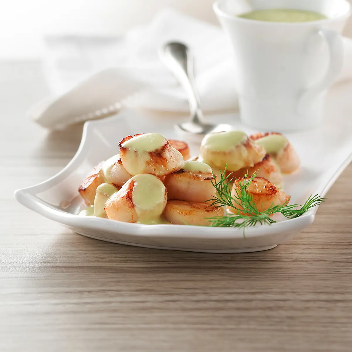 Unilateral scallops with leeks cream