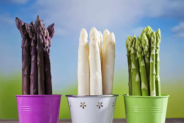 asperges-blanches-violettes-vertes-parmi-300-especes-asperges-divisees-3-groupes