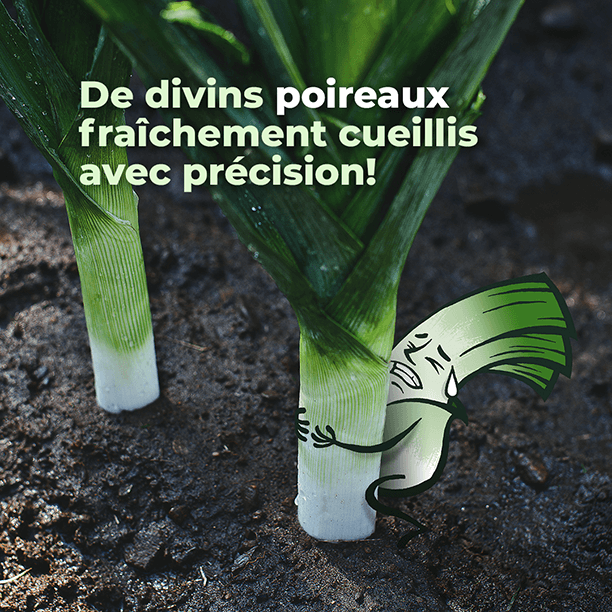 Serge le poireau qui récolte des poireaux du Québec dans les champs de Les Cultures de chez nous