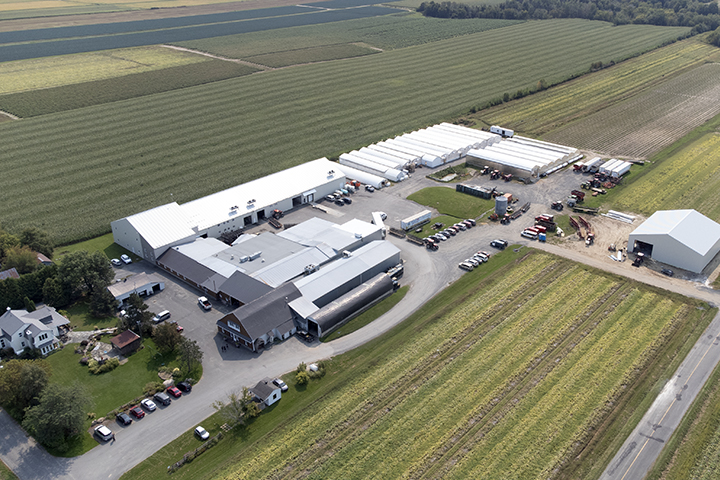 Aerial view of Les Cultures de chez nous farm and leek fields