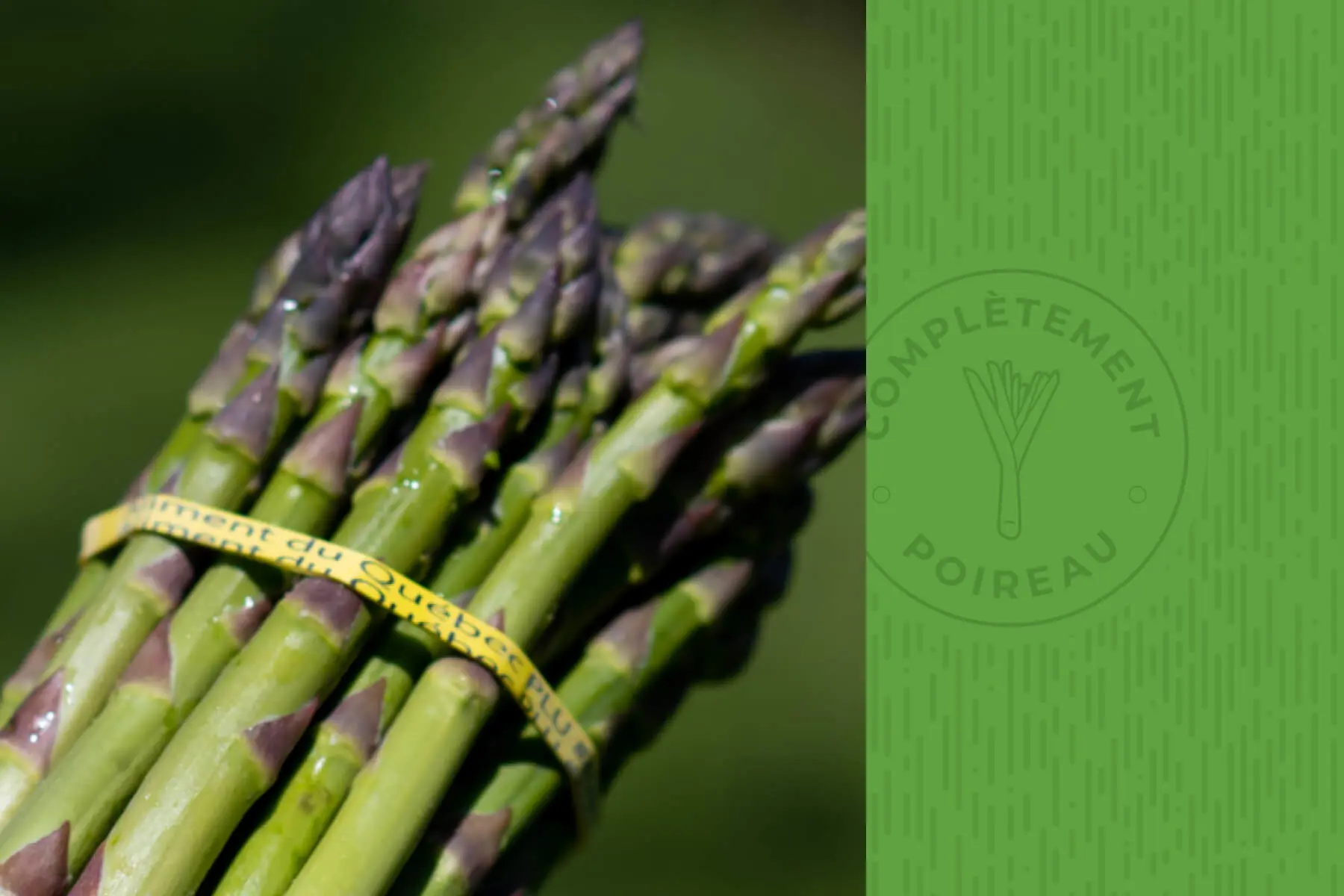 Sole fillets rolled with asparagus