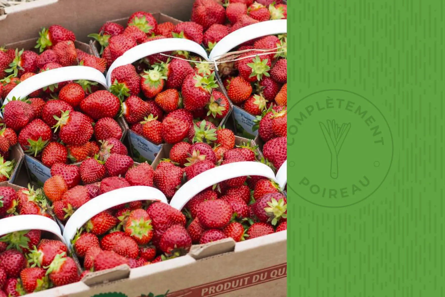 Herbs and summery perfumed strawberries salad